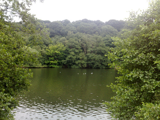 442824 (a): :2592x1944